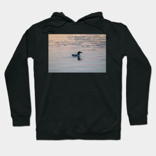 Loon Sunset 3 Hoodie